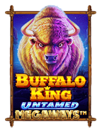 เดิมพันแพลตฟอร์มการพนันฟุตบอล ด้วยการทดลองเล่น